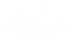 sim autoworks karpet koil first class